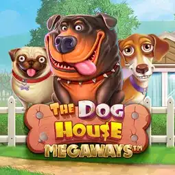 The Dog House Megaways gra w Nevada Casino dla graczy z Polski The Dog House Megaways gra w Nevada Casino dla graczy z Polski